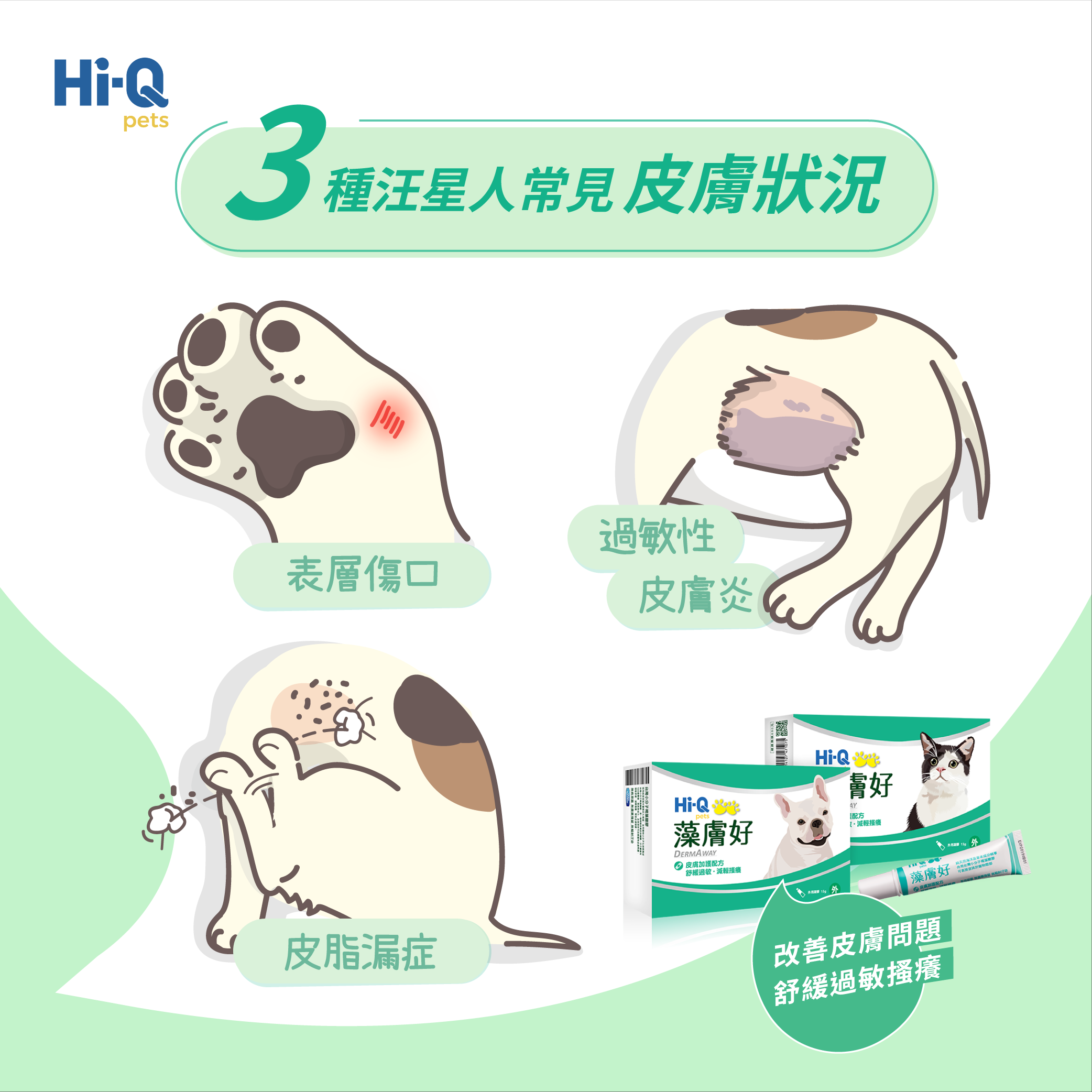 3種汪星人常見皮膚狀況